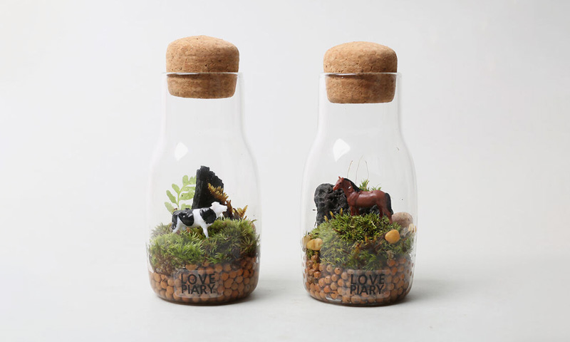 우리집이 숲이 된다면