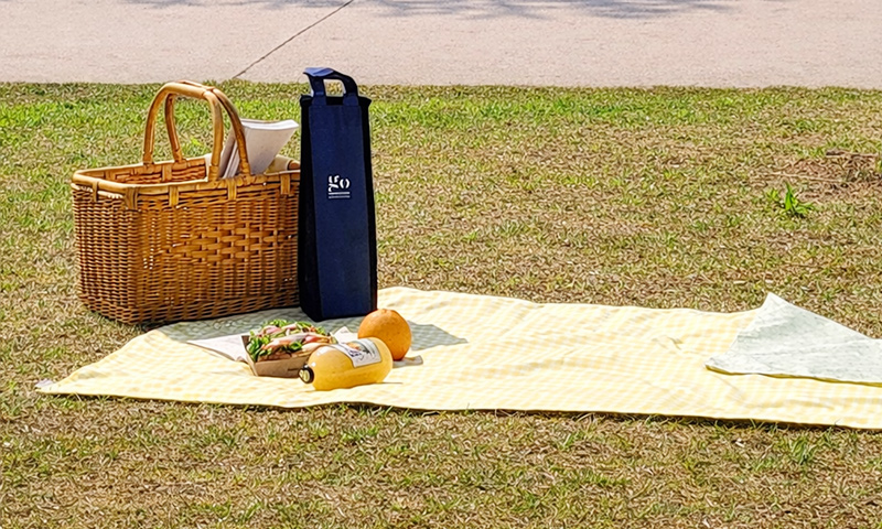 봄날의 피크닉을 좋아하세요?