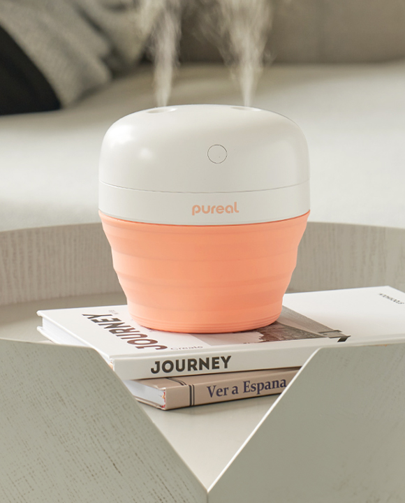 미스트는 챙기면서<br>가습기는요?