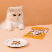 래핑찰리 와작 덴탈간식 60g