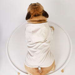 바우독 베이직 우비 강아지 레인코트 판초 우의
