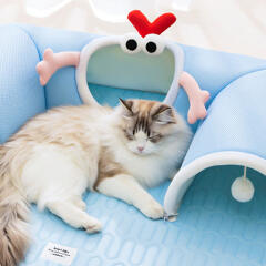 캣냐옹 쿨잠 캣터널 숨숨집 고양이 여름 방석
