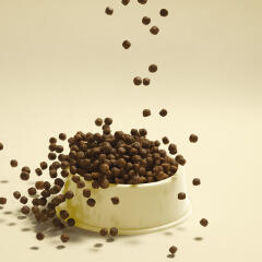 래핑찰리 나이스 말티즈 2kg