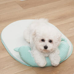 바우독 반달베개 쿨침대 강아지 여름 방석 쿨매트