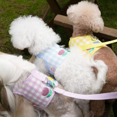 바우독 튤립 하네스+리드줄 set 강아지 산책 용품