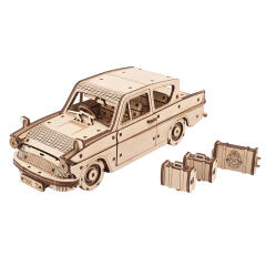 해리 포터 플라잉 포드 앵글리아