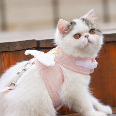 반려동물 천사 하네스+리드줄(L) (핑크)