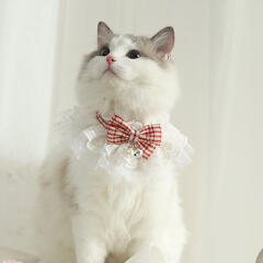 도그웨그 럭셔리 체크 레이스 케이프