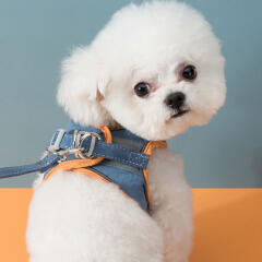 반려동물 빛반사 하네스+리드줄(M) (오렌지+블루)