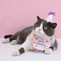 생일 꼬깔 모자 케이프 세트