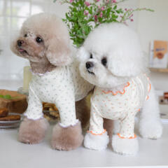 도그웨그 플라워 골지 티셔츠