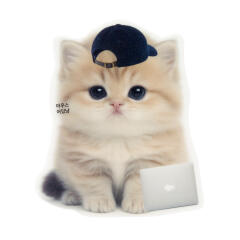 마우스패드 어딧냥