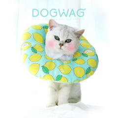 고양이 쿠션 넥카라 천 깔대기