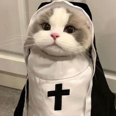 도그웨그 수녀복 코스튬 강아지 할로윈 의상