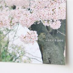 감성사진엽서_너는 어여쁘고 화창하다