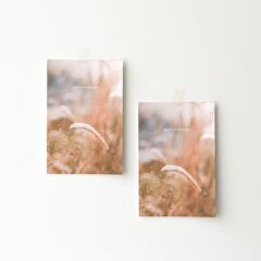 감성사진엽서_흔들리되 부러지지 않기