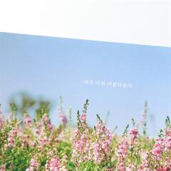 감성사진엽서_네가 어찌 아름다운지