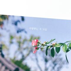 감성사진엽서_사랑받는 자처럼
