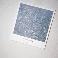 제주사진엽서_반짝이는 나날이길