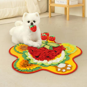 레토 강아지 노즈워크 장난감 플라워 딸기밭 LDG-NW02