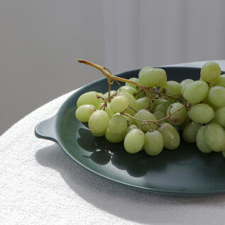 나인웨어 포레시리즈 라지 플레이트 2P