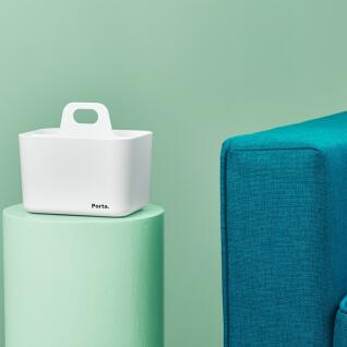 리템 포르타미니