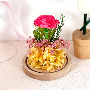 프리저브드 아크릴돔 카네이션 만들기 (전구 미포함)