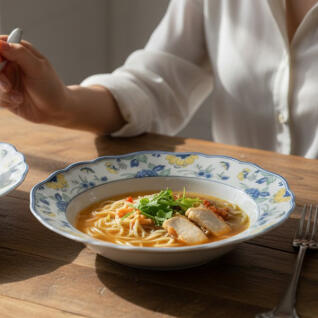 후첸로이터 파피용 스프 파스타 플레이트 23.5cm 1P