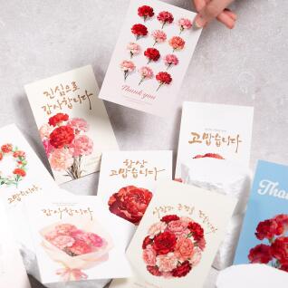 카네이션 가정의달 감사 메세지 카드 봉투 세트 10종