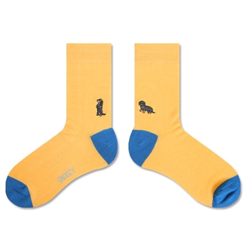 EM-밀키옐로(닥스훈트)