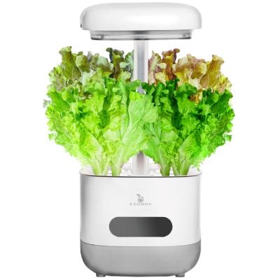 아트박스/클렙튼 에코박스 LED 수경재배기 식물재배 AP
