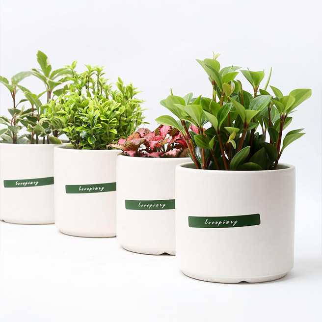 [210400000008039]브랜드-기본배너 대표이미지