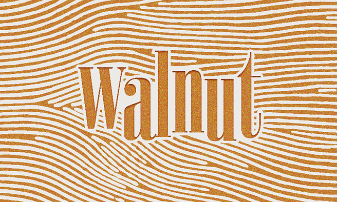 [251200000034499] WALNUT 기획전-기본배너