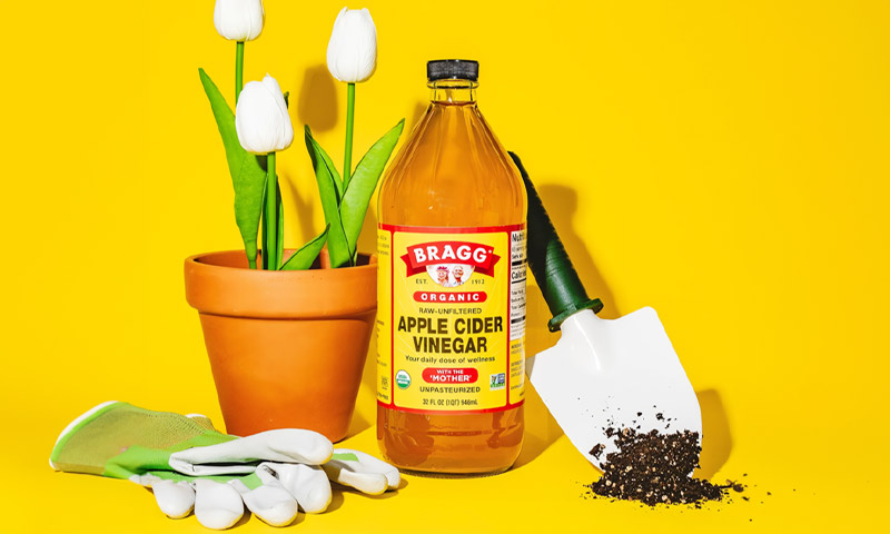 [240500000023857] 화제의 애사비! 가격 디톡스! 기획전-기본배너