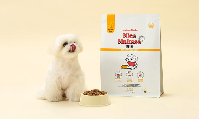 [260300000035596] 네가 웃으면 나도 행복해 🐶 기획전-기본배너