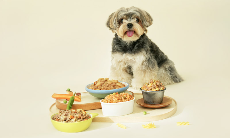 [250900000033050] 매일 먹는 거니까, 더 꼼꼼하게 기획전-기본배너