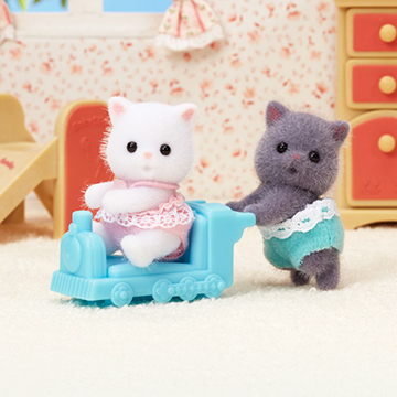 실바니안 페르시안<br>고양이 쌍둥이