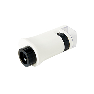 G26021481286