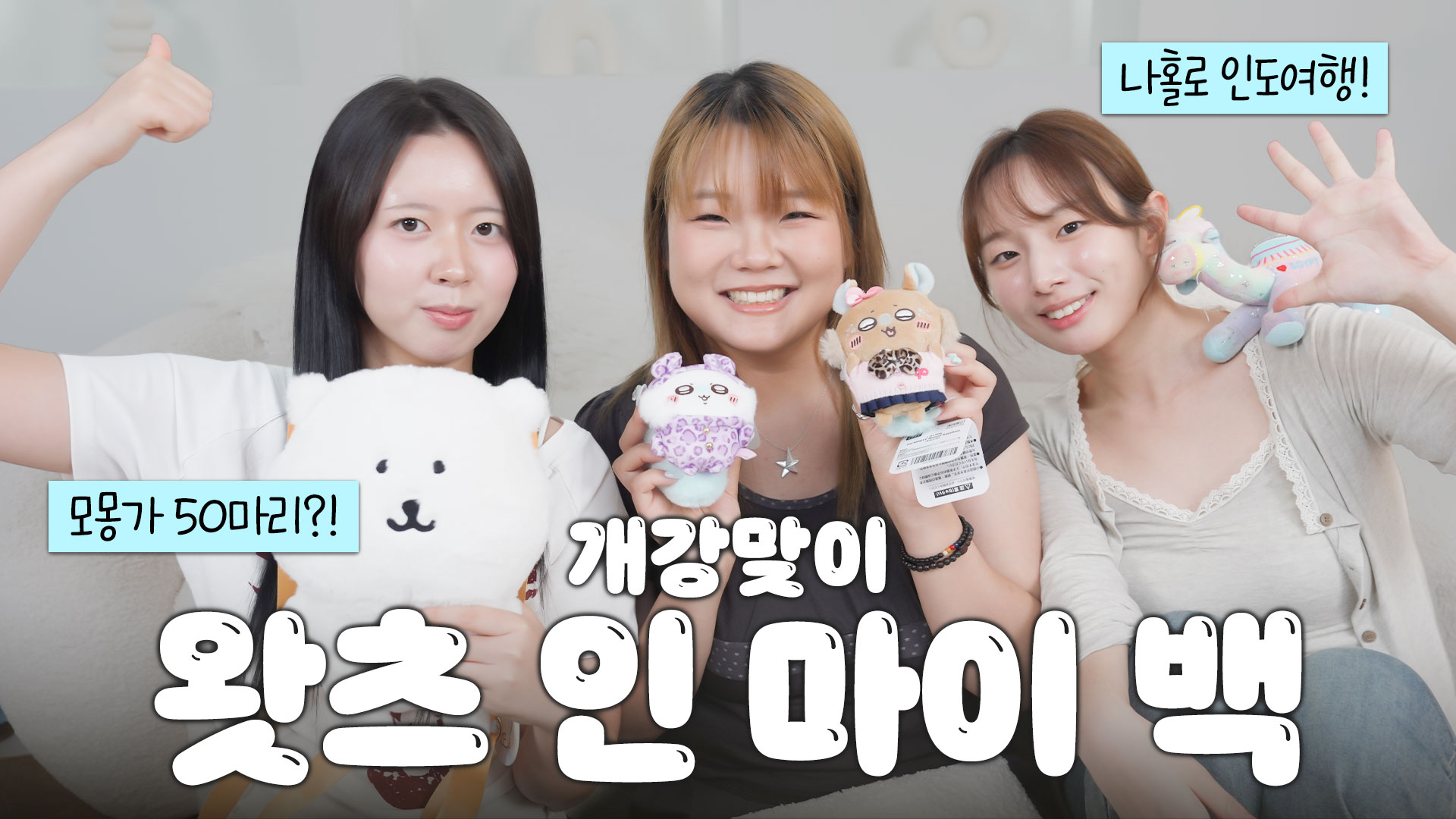 인형만 50개?! 요즘 대학생은 보법이 다르구나