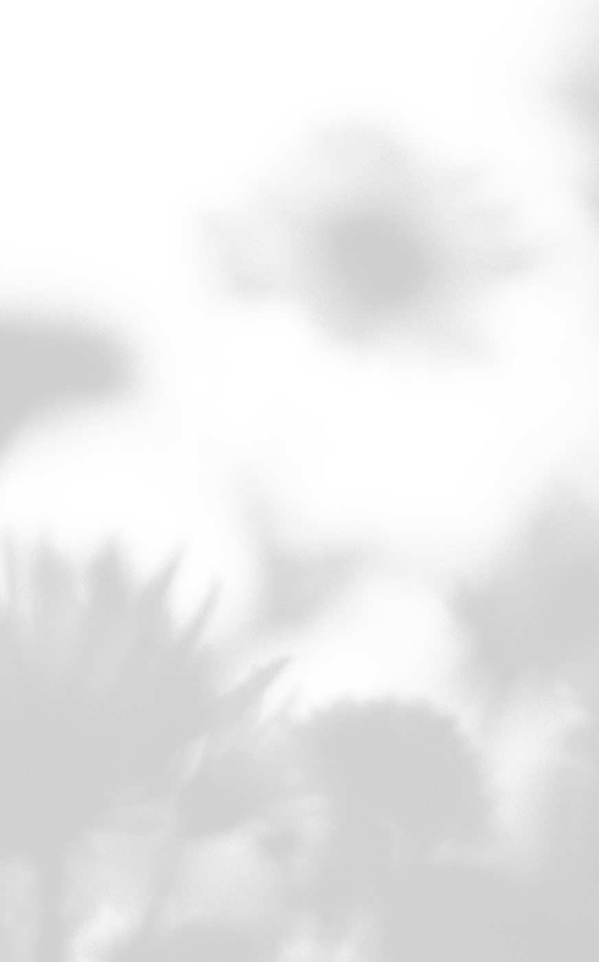 시적인 필사 내지2