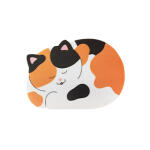 [버숨] 잠자는 고양이 마우스 패드_우주