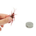 도망가는 바퀴벌레 