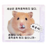 마우스패드 해낸다햄스터 