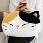 까망 고양이 바디필로우 대형모찌인형 L