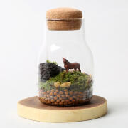 저 푸른 초원 위에 이끼 테라리움 DIY 키트 만들기