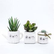 가드닝 미니다육화분[3종세트]