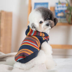 레논 후드 (PAVD-TS1926)