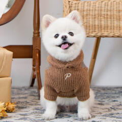 지코 후드 (PAVD-TS1929)