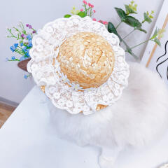 바우독 데이지 레이스 밀짚 모자 강아지 고양이 여름