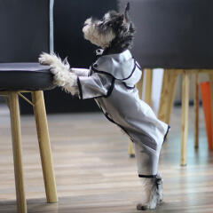 바우독 해피데이 올인원 우비 강아지 레인코트 판초